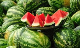 关于吃瓜的议论文,网络舆论的冷思考