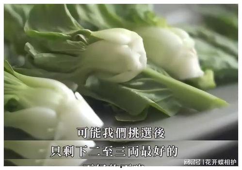 娱乐圈什么真瓜可以吃