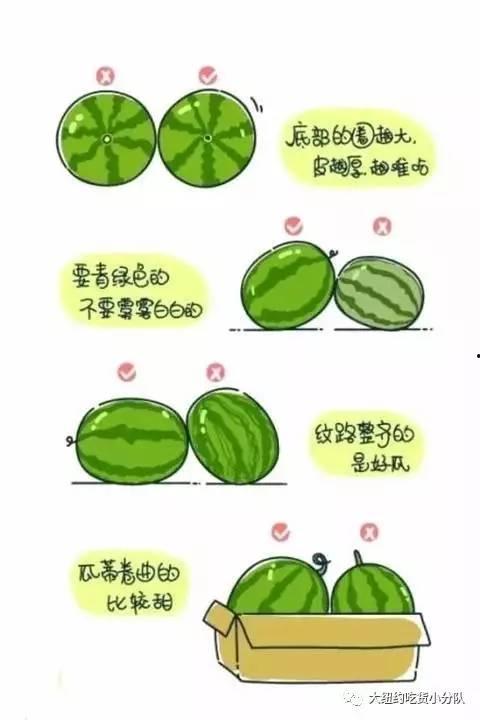 娱乐圈吃瓜的正确方法,轻松解锁明星八卦的正确姿势